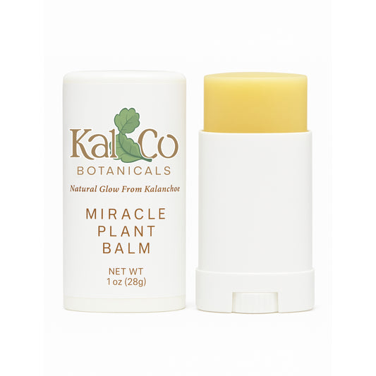 Kal & Co Botanicals Kalanchoe Pinnata Balm Stick – Leaf of Life Natural Lip Moisturizer