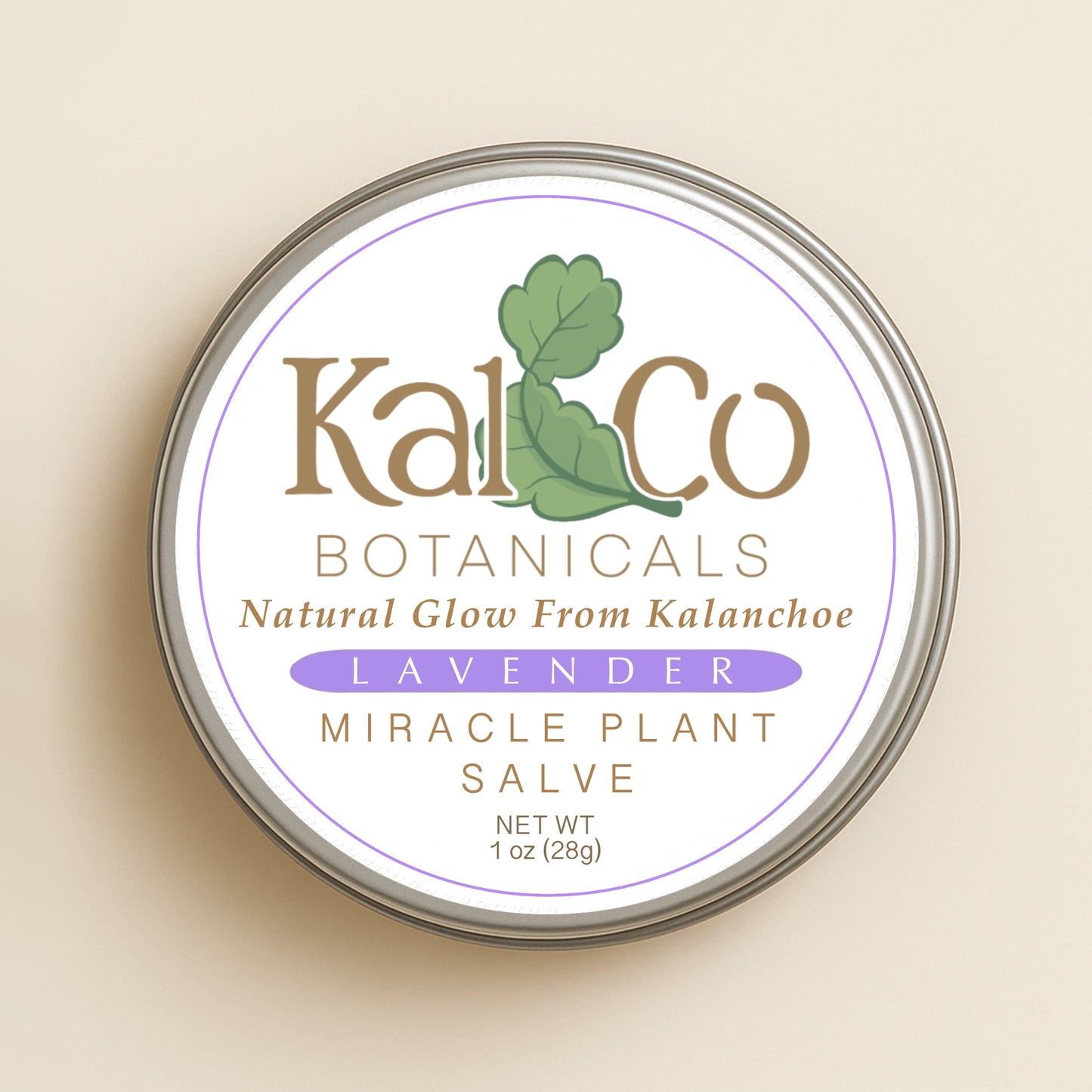 Kal & Co Botanicals Kalanchoe Pinnata Salve 1 oz – Leaf of Life Natural Moisturizer