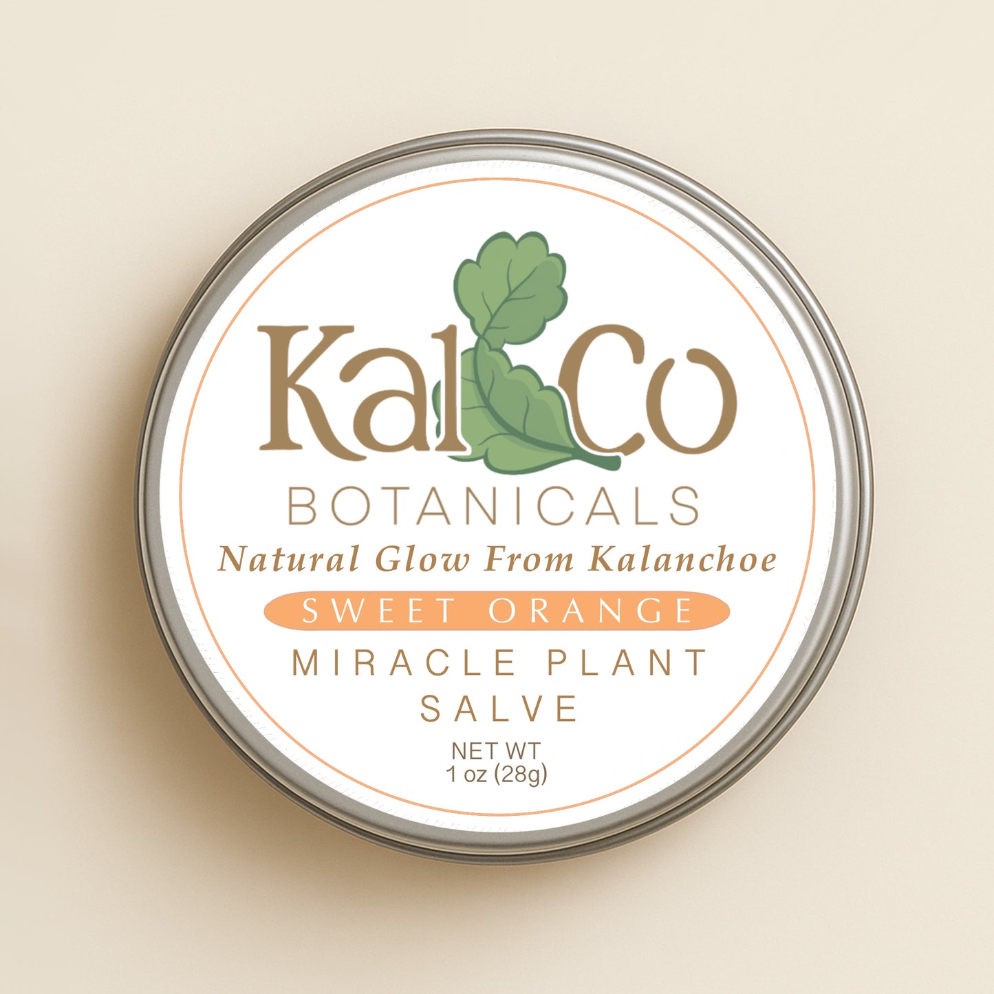 Kal & Co Botanicals Kalanchoe Pinnata Salve 1 oz – Leaf of Life Natural Moisturizer