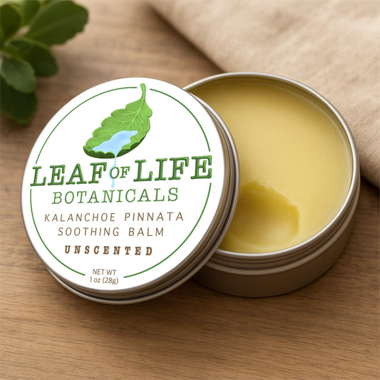 Kal & Co Botanicals Kalanchoe Pinnata Salve 1 oz – Leaf of Life Natural Moisturizer