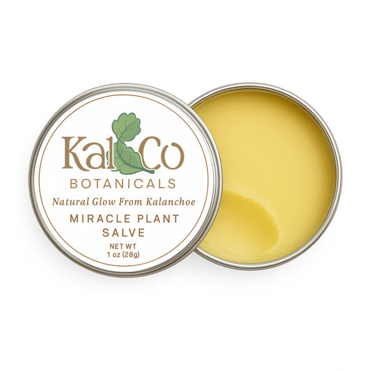 Kal & Co Botanicals Kalanchoe Pinnata Salve 1 oz – Leaf of Life Natural Moisturizer